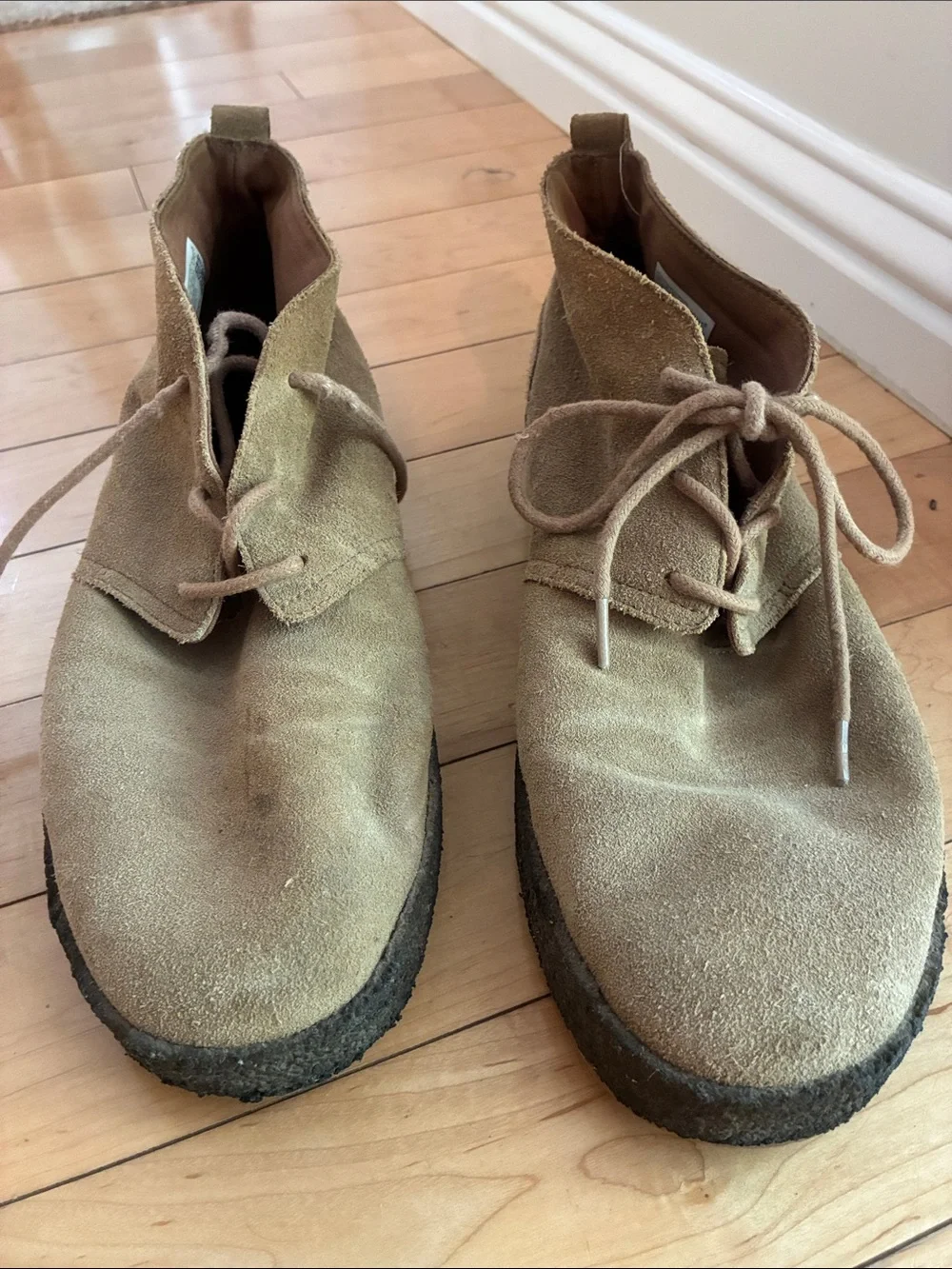 Toms Men's Suede Chukka Boots in Tan